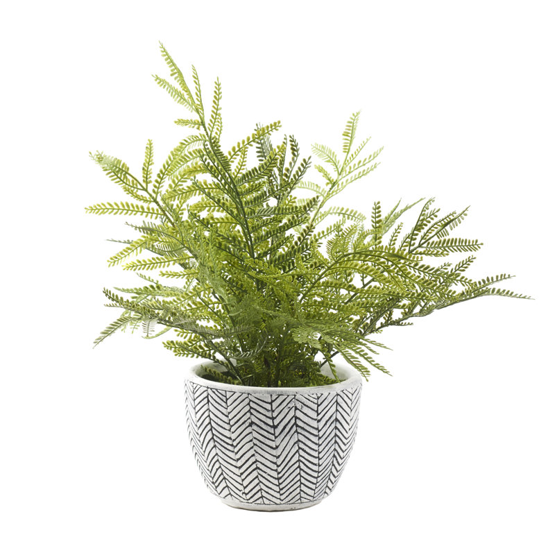 Mini fougère en pot de fleurs en céramique