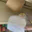 Customer photo 2 of 2