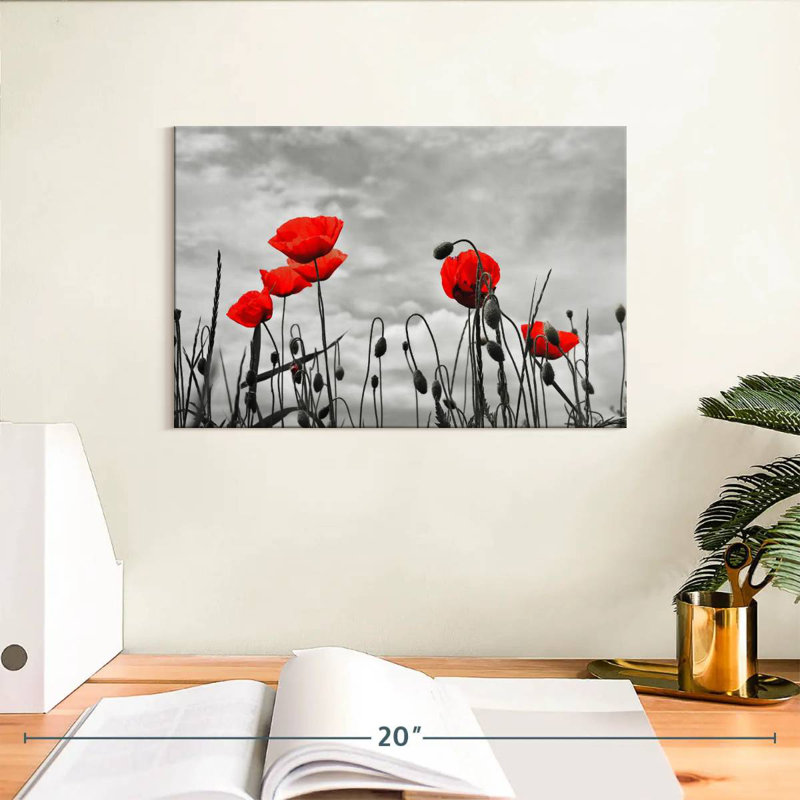 Harnek Pop Red Poppies, H 8 po x l 12 po