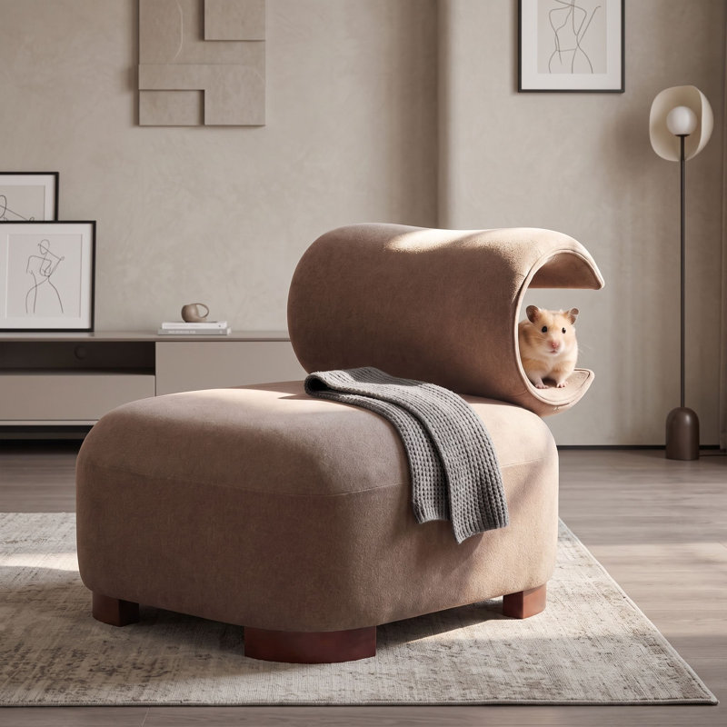 Chaise d'appoint moderne rembourrée avec dossier incurvé, base en bois massif, chaise d'appoint en polyester adaptée aux animaux de compagnie