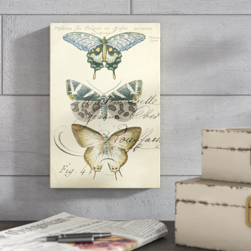 «Butterfly Ephemera IV» par Chariklia Zarris, reproduction d'art sur toile, H 12 po x l 8 po, Toile tendue