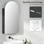 W H Medicine Cabinet Mirror