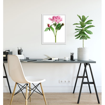 Rose - Single Picture Frame Print