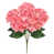 Corail rose