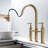 VanityIn Pull Down Kitchen Faucet