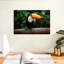 Toucan brésilien Brampt-107866930