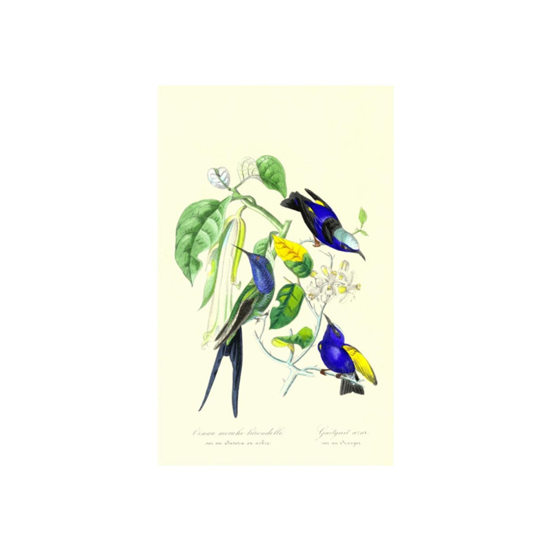 Colibri sur un arbre orange par Porter Design - impression, Couche de verre, H 29 po x l 18 po x P 1,5 po