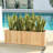 Barros Solid Cedar Rectangular Planter Box with Drainage Holes-2089439587-2088857658