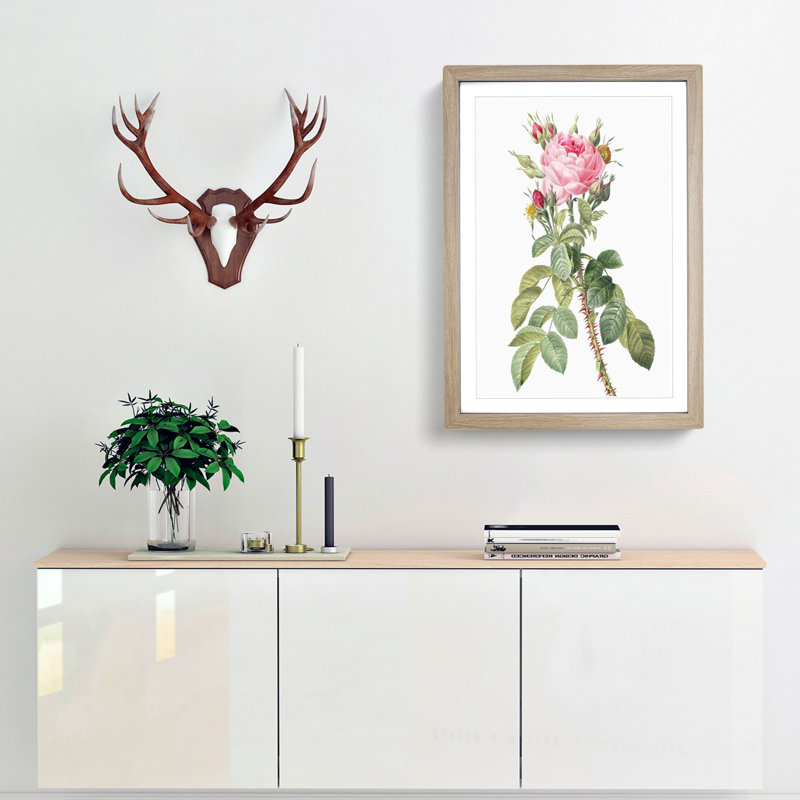 Pink Roses in Bloom by Pierre-Joseph Redoute - Picture Frame Graphic Art Print, Oak Framed, 65cm H x 48cm W x 2cm D