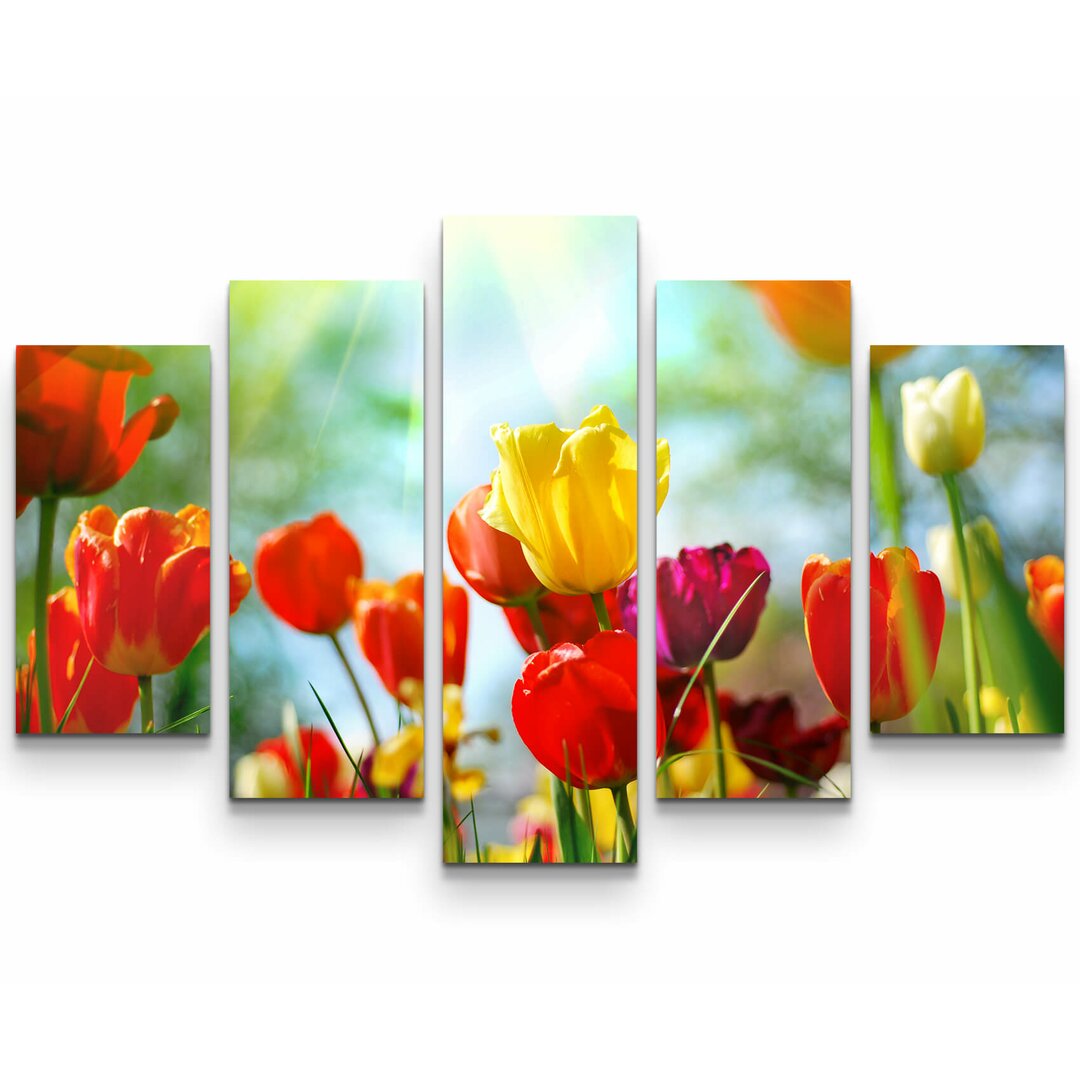 5-tlg. Leinwandbilder-Set Bunte Tulpen im Sonnenschein