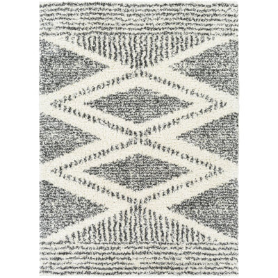 Isavela Southwestern Indoor Rug