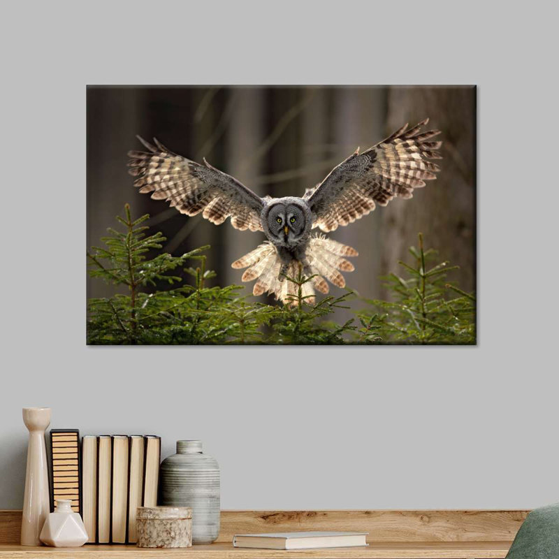 Flying Owl, reproduction sur toile, H 45 po x l 30 po x P 1,25 po