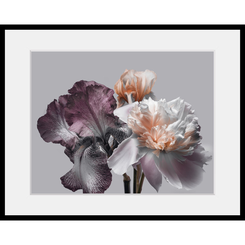 Rose - Single Picture Frame Print