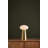 Cashel Rechargeable Table Lamp in Aged Brass