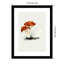 Reproduction imprimée à la main d'un champignon Milkcap-68918117-68918135