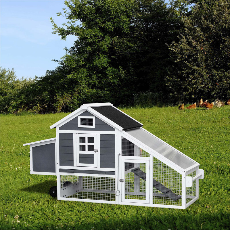 Poulailler d'extérieur polyvalent en bois avec des caractéristiques pratiques pour les animaux de compagnie