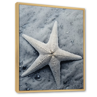 Grey Minimalist Starfish Coastal Gem - Starfish Wall Art