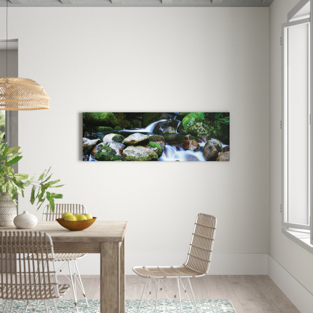 Moss Heaven by Andrew Brown Photographic Print on Canvas