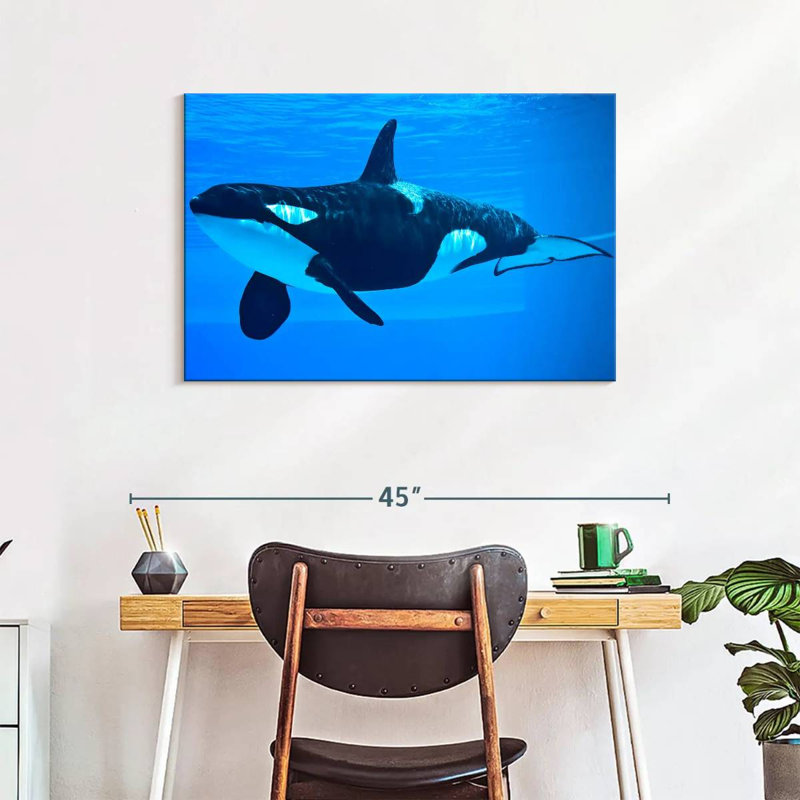 Brampt Friendly Killer Whale, 24" H x 36" W