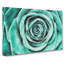Mint Green Rose - Wrapped Canvas-56639477