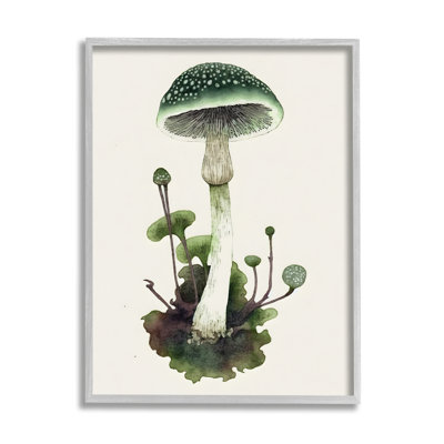 Bb-063 - Champignon vert forêt encadré sur bois