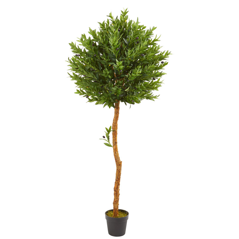 5,5 pi Arbre topiaire olive résistant aux rayons UV (intérieur / extérieur)