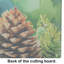 Maine White Pine Cone and Tassels in Watercolor Glass Cutting Board Large
