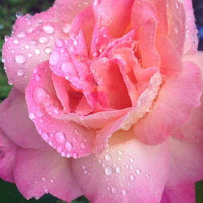 After The Rain