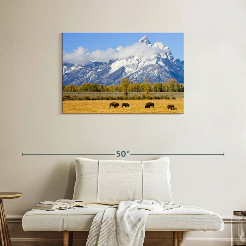 Bison d'Alvord dans les plaines de Teton, H 24 po x l 36 po