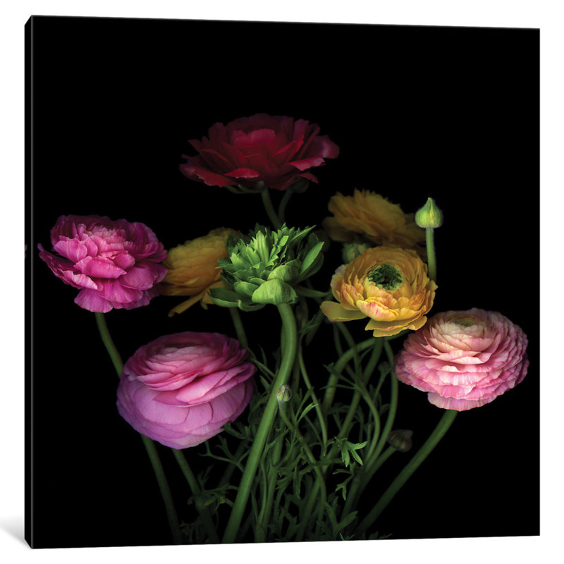 «Say It with Flowers I», reproduction de photo sur toile tendue, H 24 po x l 24 po x P 1 po, Papier d'art encadré noir, Blanc