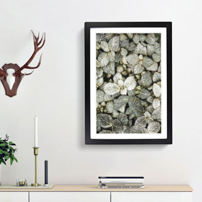 Plant Leaves Abstract - Single Picture Frame Print on MDF