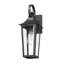 Barling 1 Light Outdoor Wall Light in Black-100157168