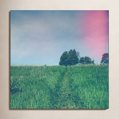 Summer Solstice by Olivia St Claire