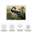 Décoration murale d'extérieur Aarohi Louisiana Heron-2105678152