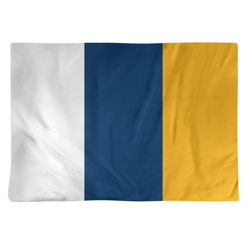 Récapitulatif de 18 po California, Blanc / bleu, Sergé de coton
