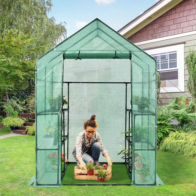 Kluesner 5 Ft W x 5 Ft D Hobby Greenhouse