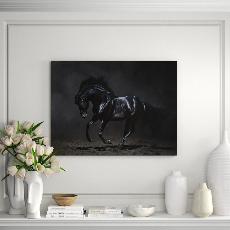 Étalon noir - photographie encadrée, 24 po x 36 po
