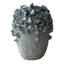 Vase décoratif en polyrésine et corail gris clair Cole and Gray-814866437
