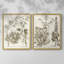 «Sepia Botanical Journal III», reproduction encadrée de qualité supérieure - prête à être accrochée - aucun clou requis - aucun clou requis-1860964086-1860964080