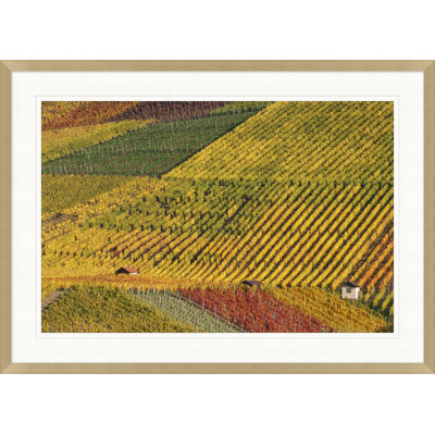 «Fall Colors of the Vineyard 2» par Nathan Turner - Photographie de cadre photo sur papier