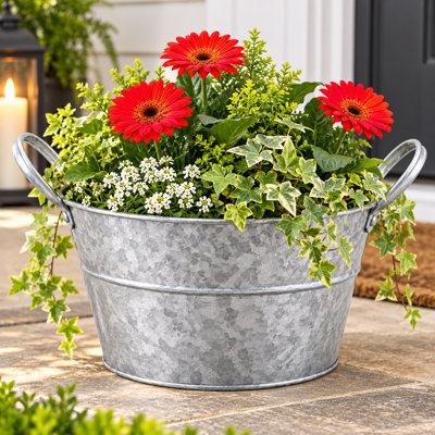Round Metal With Ear Handles Bucket