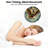 Elegant Owl Clock