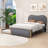 Jankell Wood Upholstered Platform Bed with Trundle-943052848-943052855