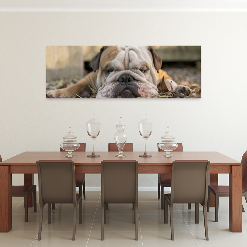 Sleepy Bulldog Resting by Gert Van Den - Wrapped Canvas Panoramic Print, 152.4 cm H x 50.8 cm W