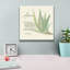 «Aloe Vera» par Chris Paschke, art mural sur toile-102866915