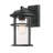 Schlesinger Seeded Glass Outdoor Wall Light-684222841
