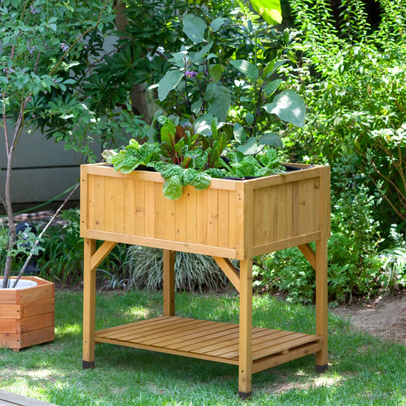 VegTrug Raised Bed Cedar Wood Garden Planter, Natural