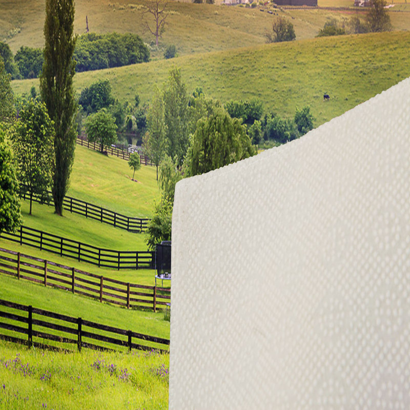 Antibacterial Hall Carpet, 39.4 x 59.1 inches | 100% Polyester, 0.4 in Pile Height, Non-Slip PVC Felt Dot Underside | Machine Washable, 3D Digital Printing, Durable & Stylish for Modern Home Décor