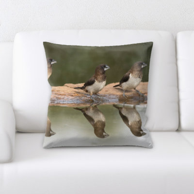 Throw Pillow