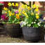 Colin Planter-1389998693-1389998692